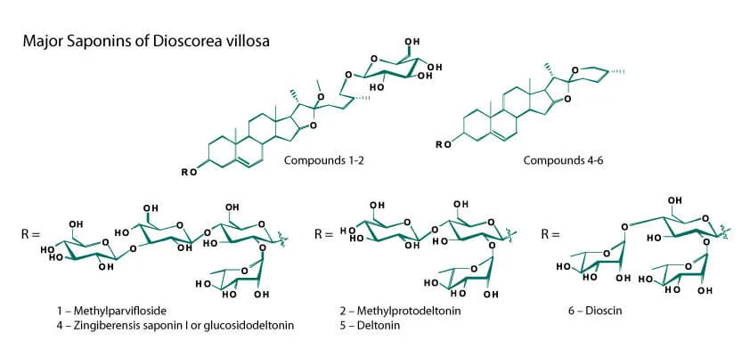 chart-wildYam-(1).jpg